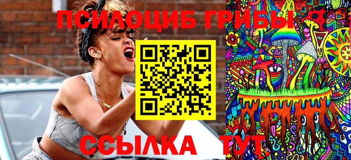 Псилоцибиновые грибы GOLDEN TEACHER  Вход с VPN  как найти   Апатиты  Галлюциногенные грибы GOLDEN TEACHER 